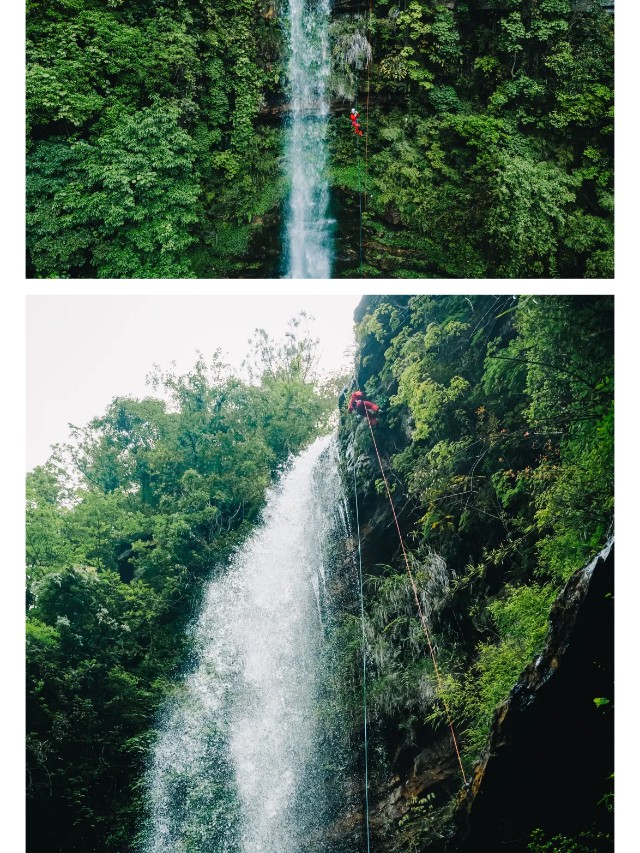 show_629253617_1749621659390_slice_3