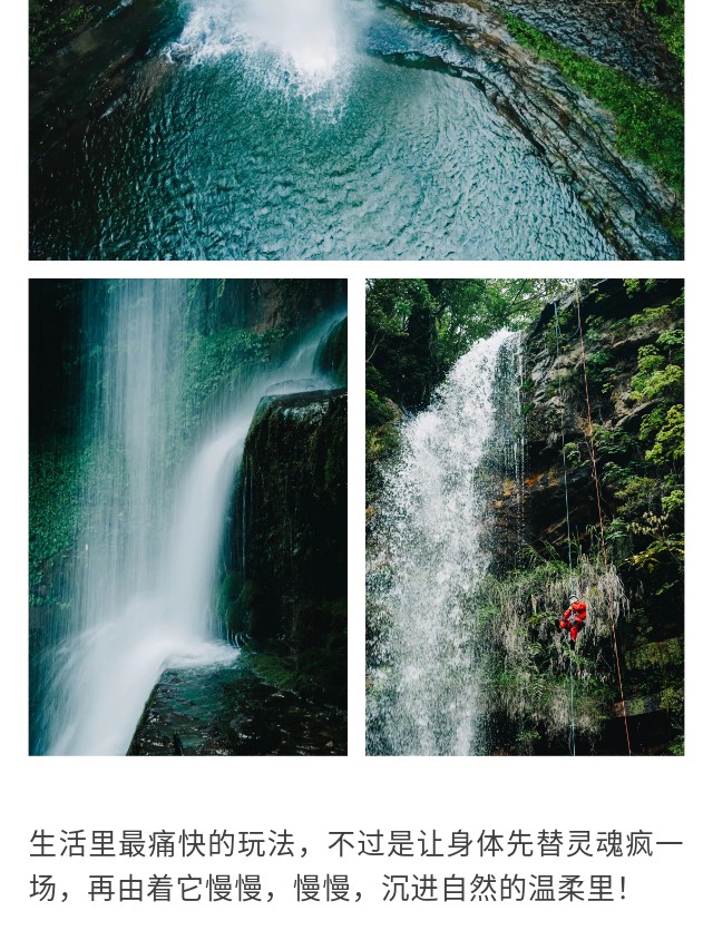 show_629253617_1749621739425_slice_8