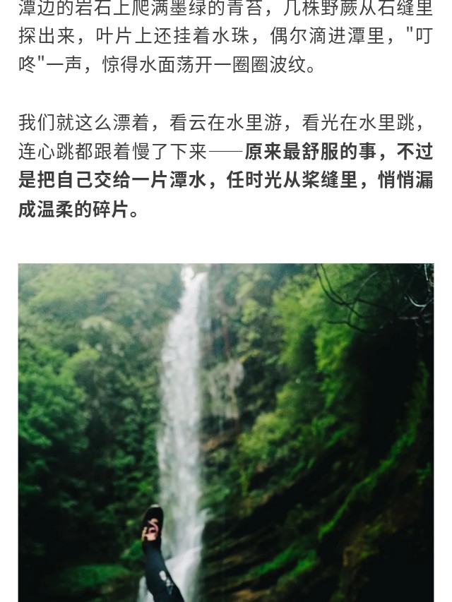 show_629253617_1749621739425_slice_3