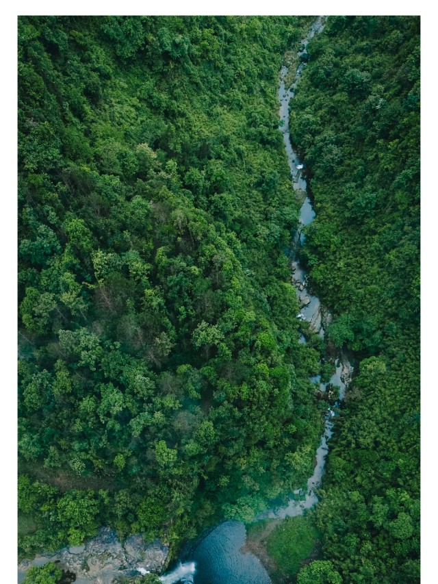 show_629253617_1749621739425_slice_9