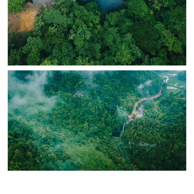 show_629253617_1749621739425_slice_10