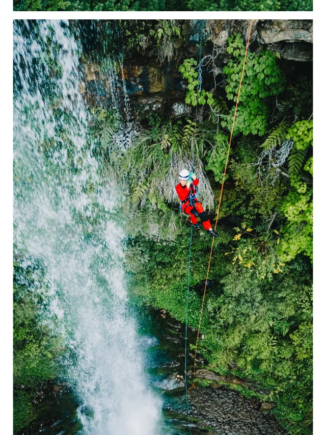 show_629253617_1749621739425_slice_7