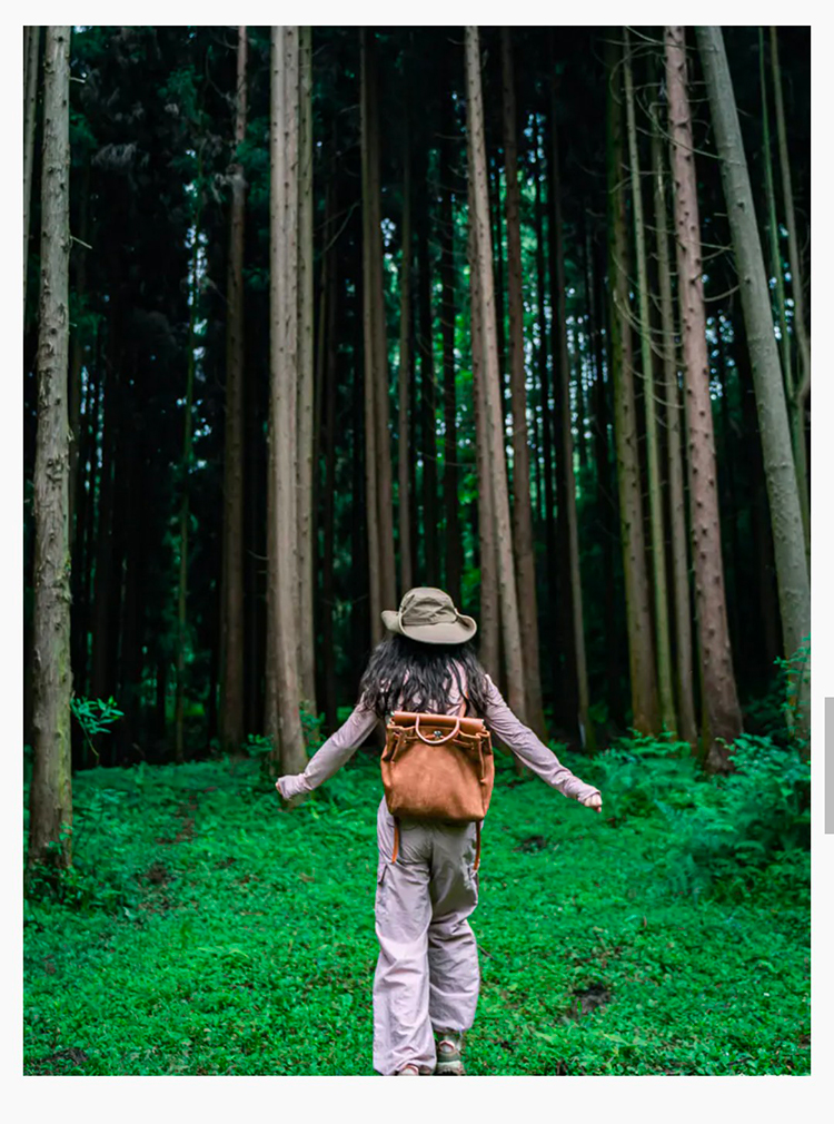 韶音x暮光森林2025