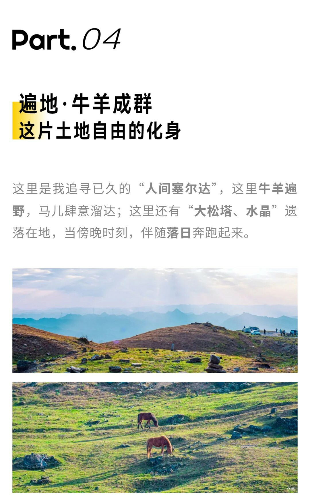 元龙山切片02_02