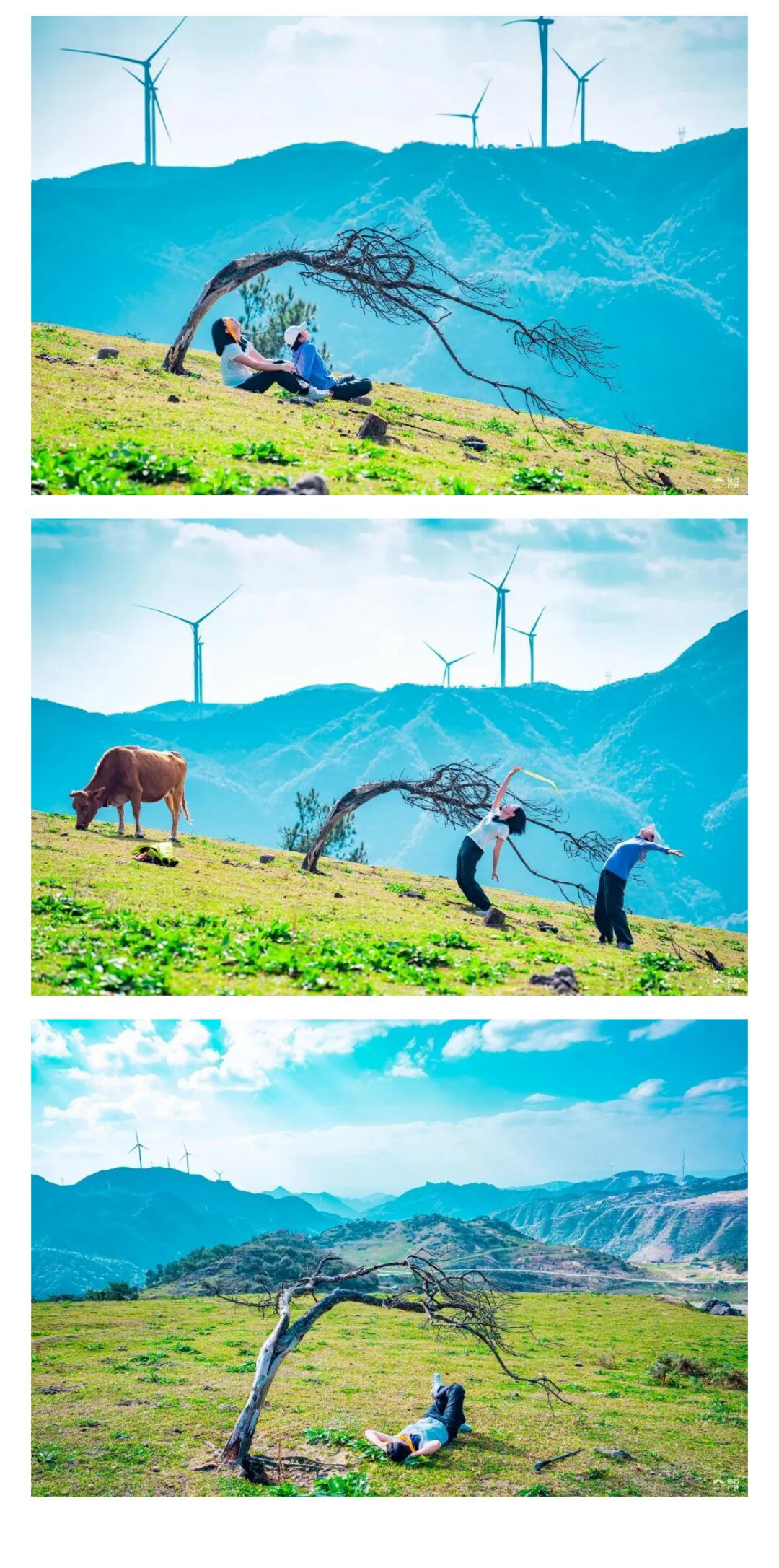 元龙山切片01_09