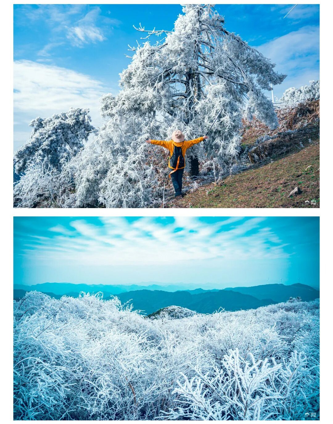 元龙山切片01_06