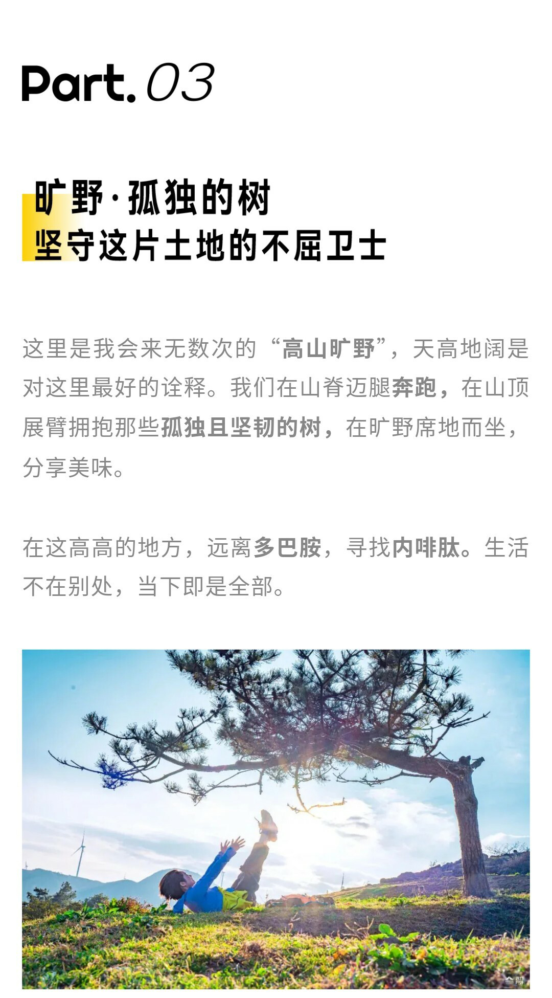 元龙山切片01_10