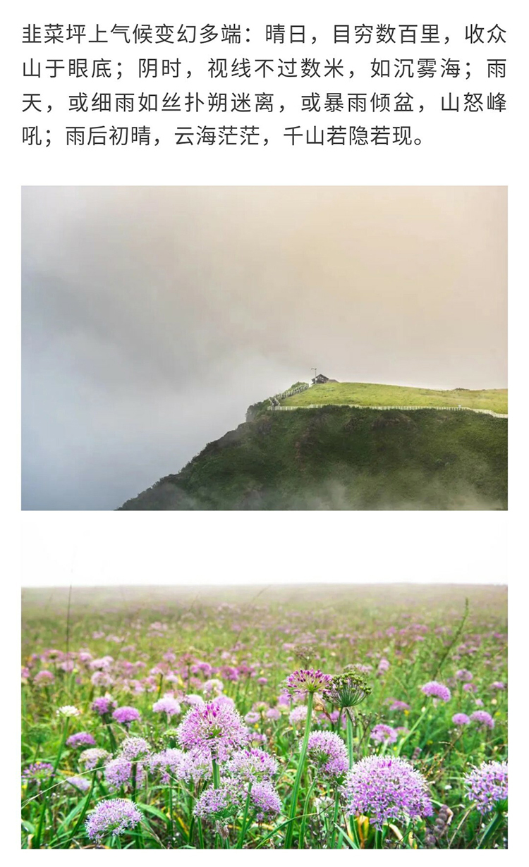 阿西里西-韭菜坪_10