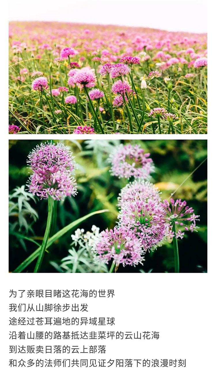 阿西里西-韭菜坪_05