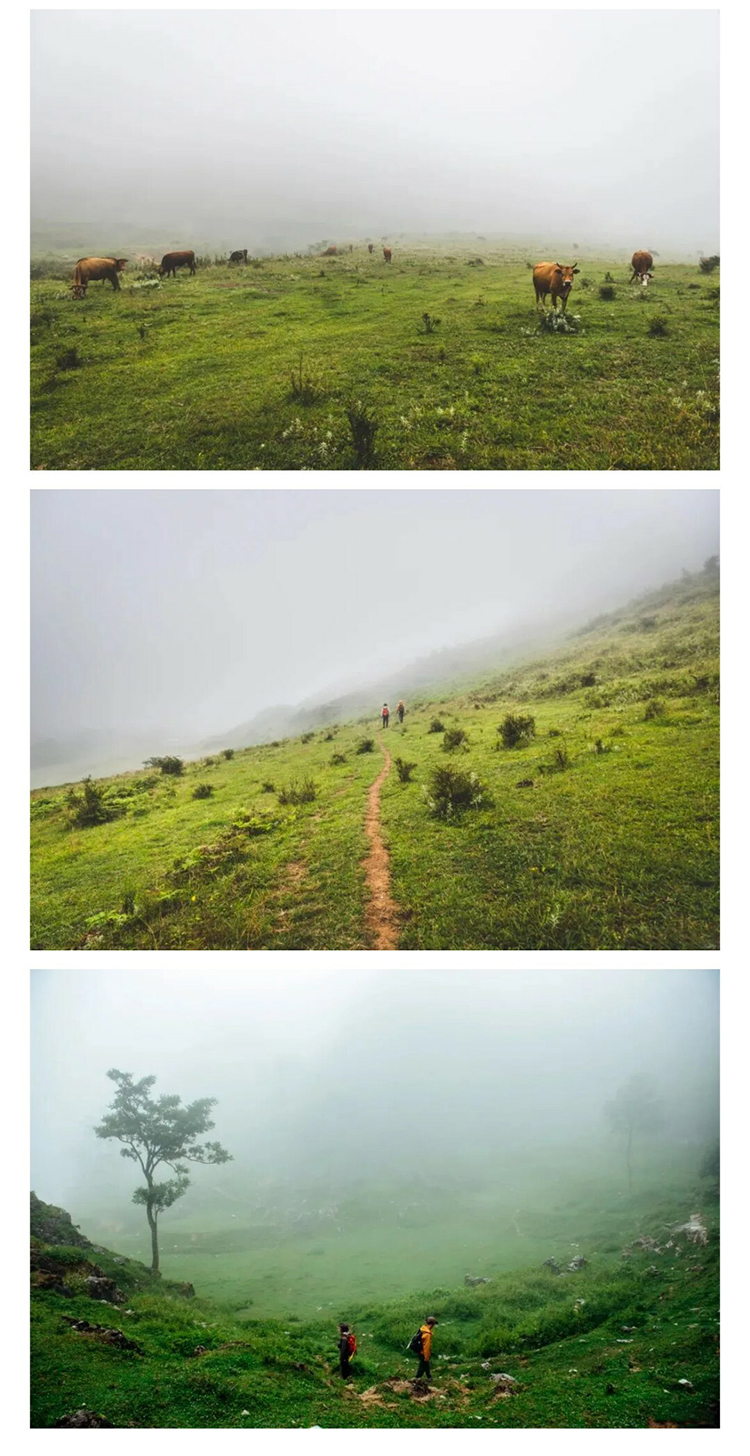 阿西里西-韭菜坪_08