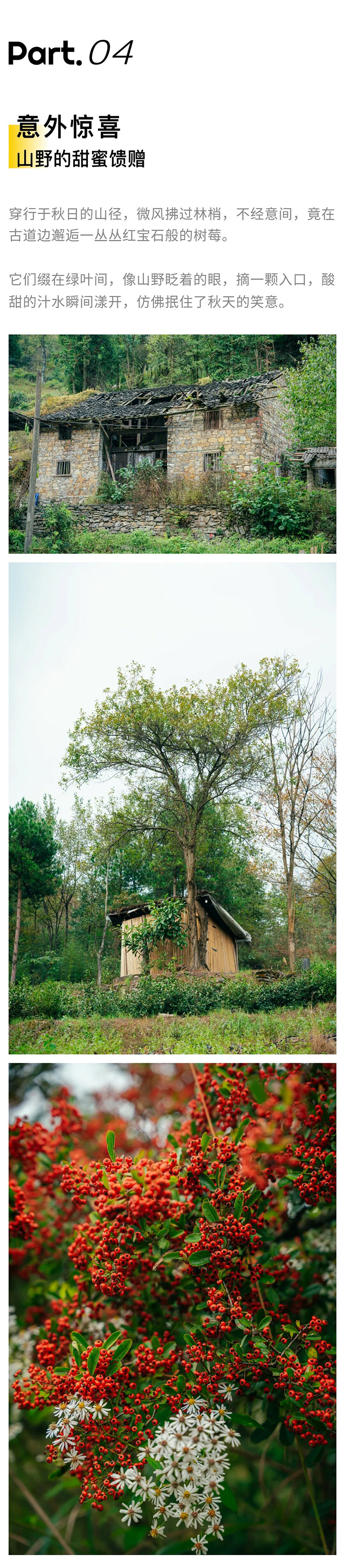 黔南秋韵-秀米02_01