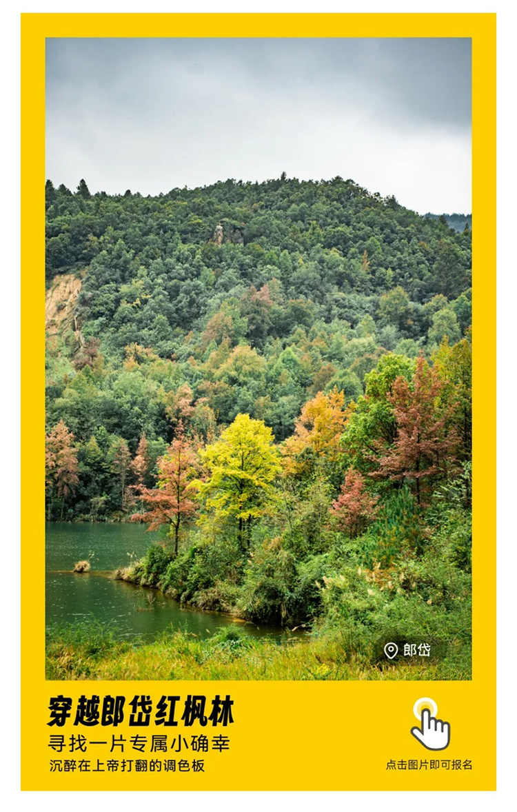 郎岱红枫林-秀米_01