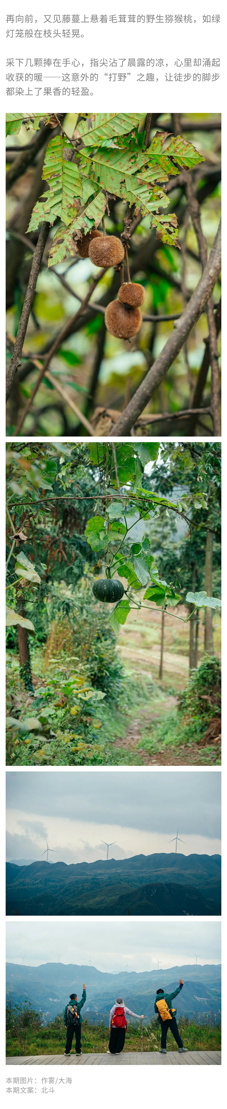 黔南秋韵-秀米02_02