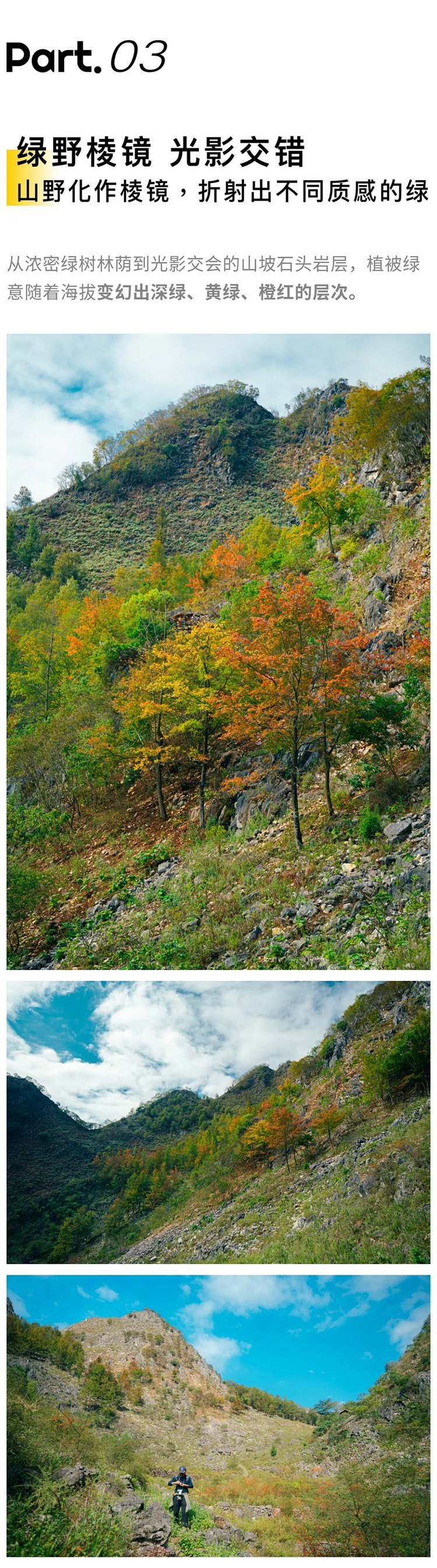 绿野棱镜-强驴出山01_09