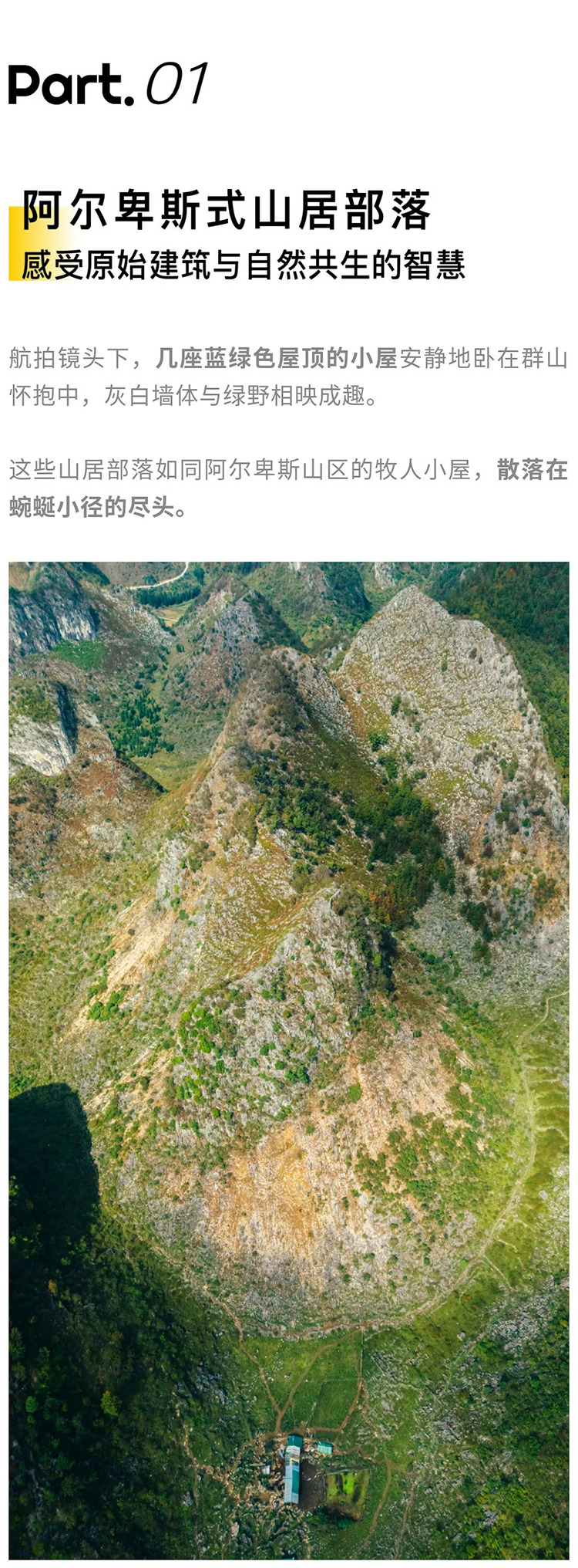 绿野棱镜-强驴出山01_03