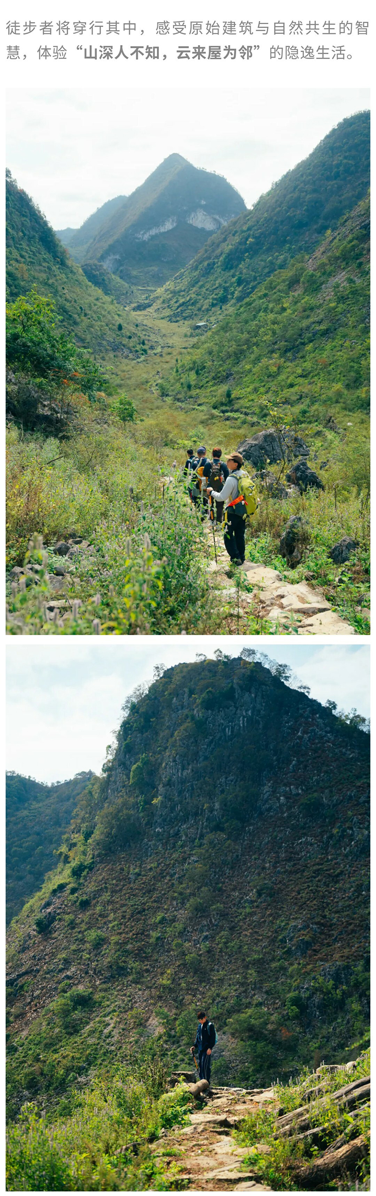 绿野棱镜-强驴出山01_05