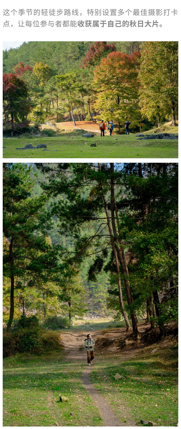 枫叶彩林-徒步野炊-秀米01_05