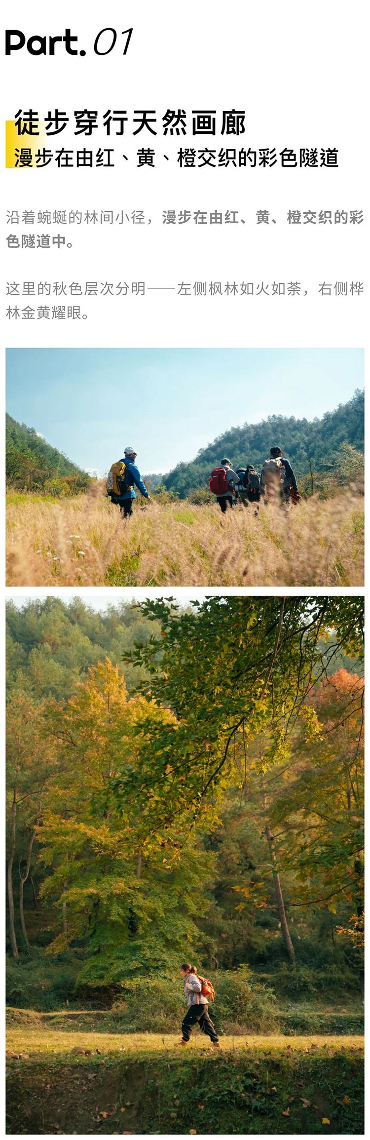 枫叶彩林-徒步野炊-秀米01_03