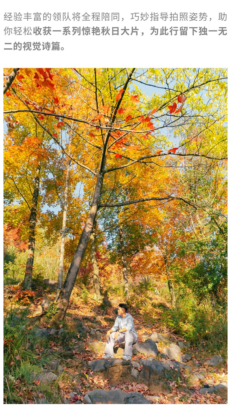 郎岱枫林彩林赏秋_10