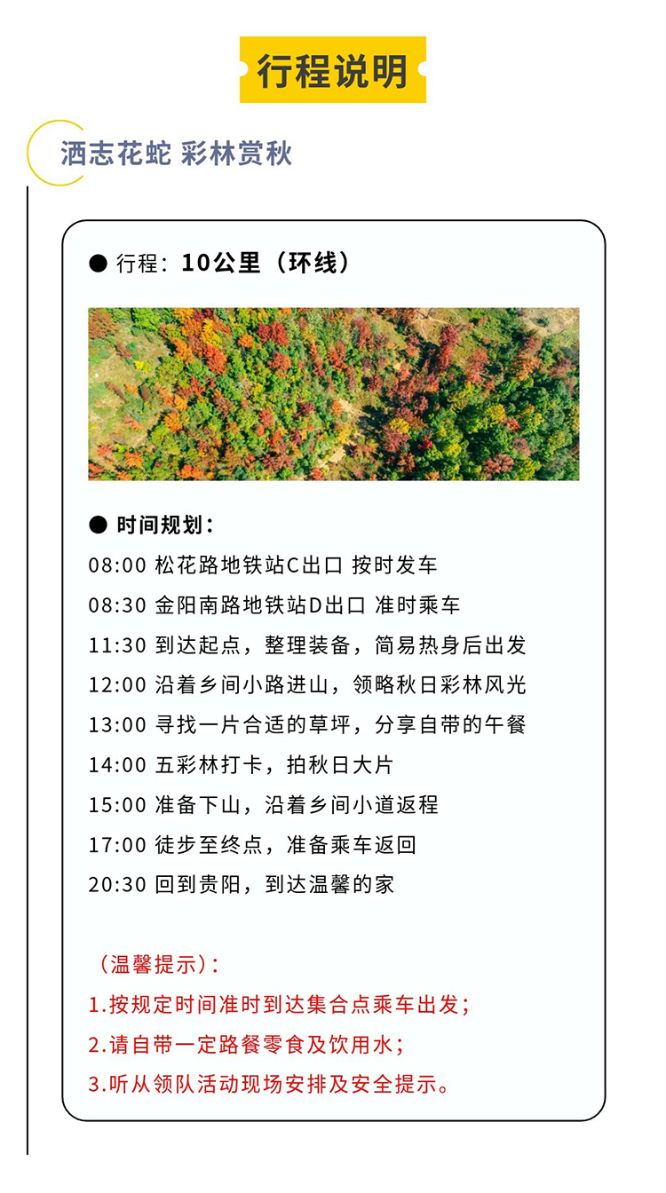 郎岱枫叶彩林赏秋_16