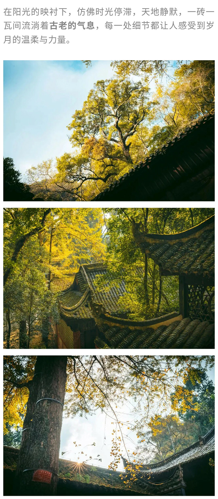 长线·梵净山东西线_09