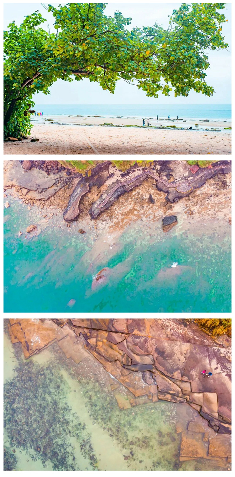 涠洲岛观鲸版01_05