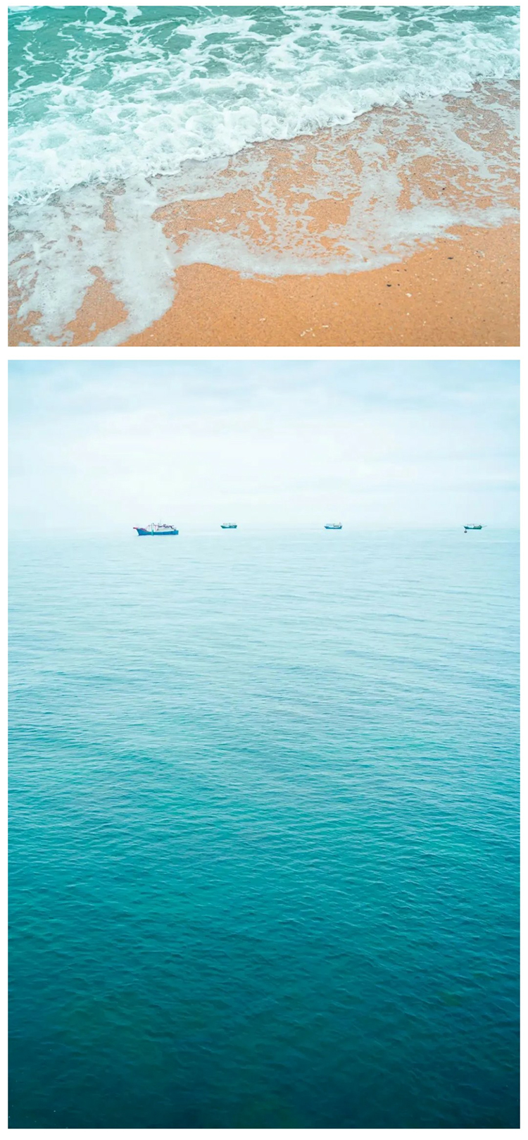 涠洲岛观鲸版01_03