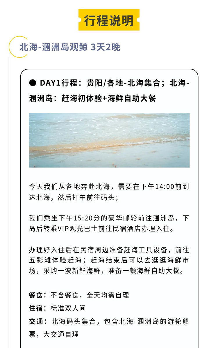 涠洲岛观鲸版02_08