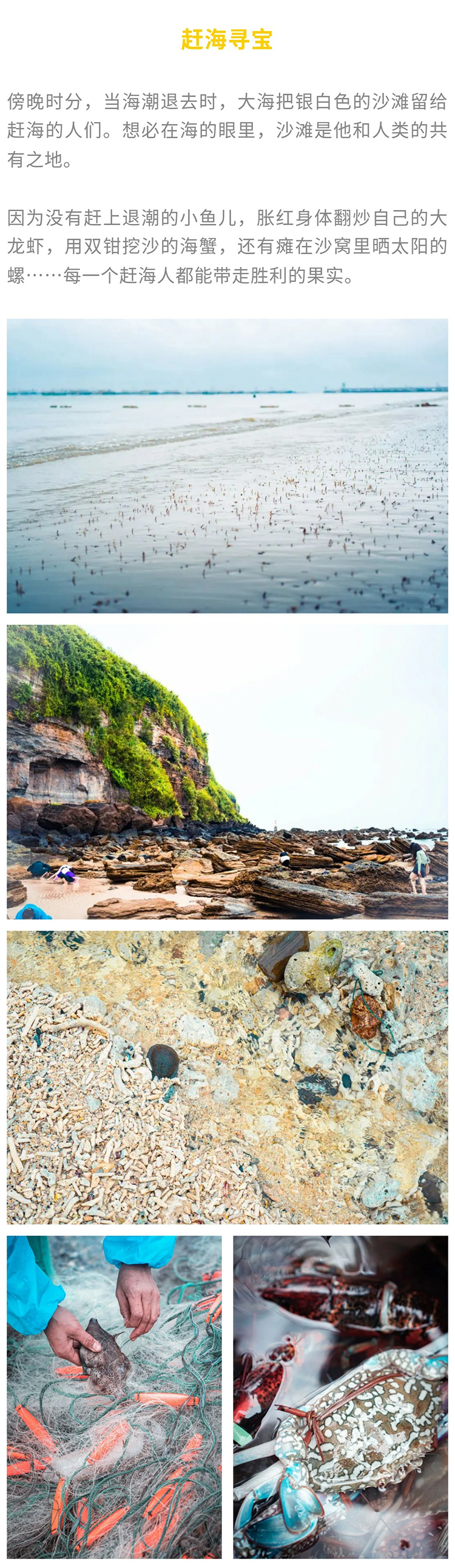 涠洲岛观鲸版01_13