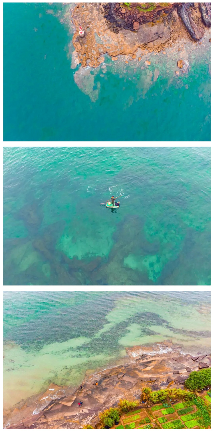 涠洲岛观鲸版01_09