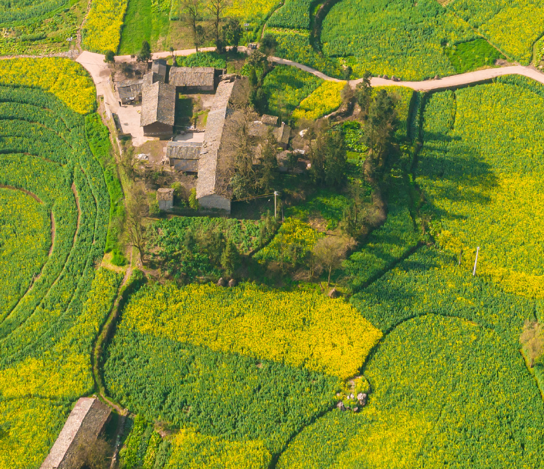 西南最早的春天02_07