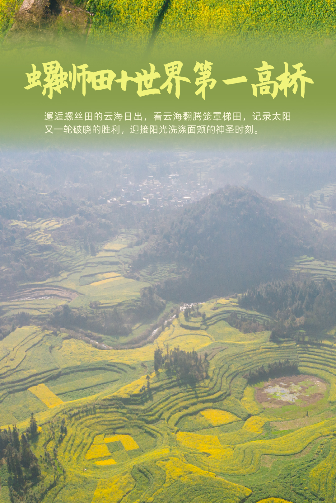 西南最早的春天02_08