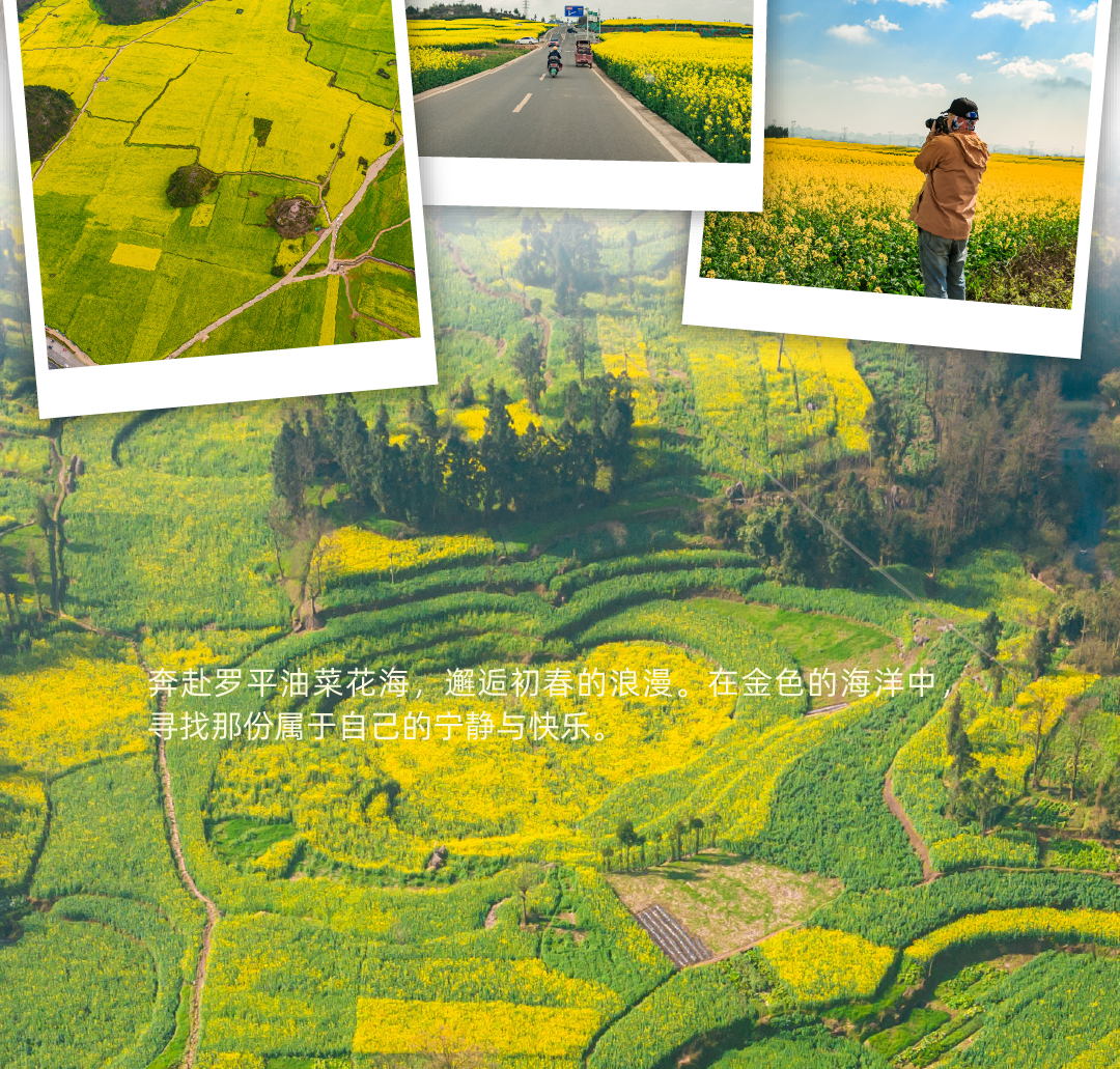 西南最早的春天02_06