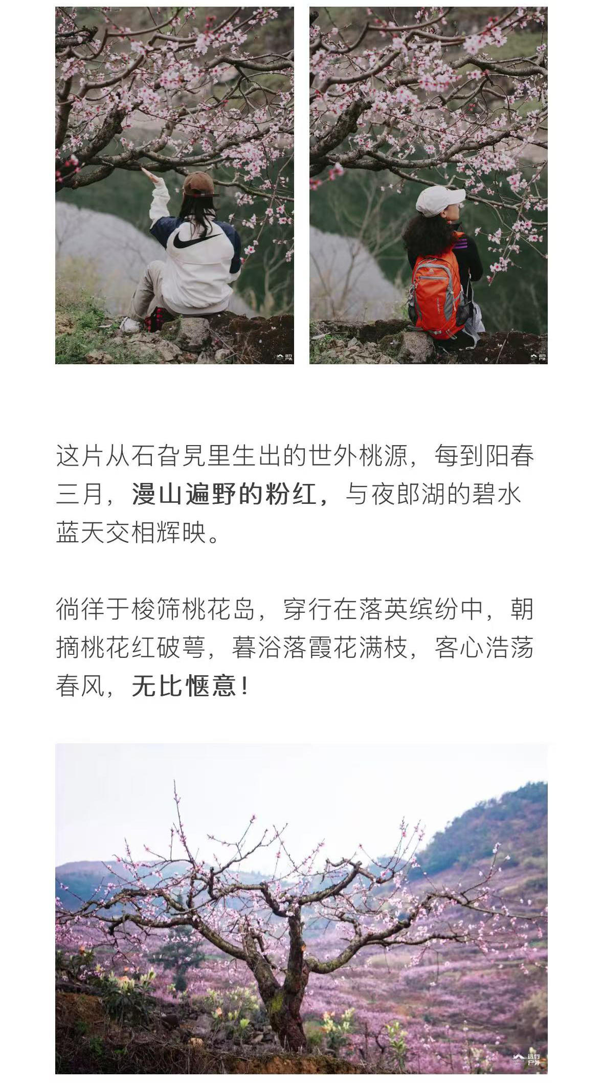 微信图片_2026-03-02_170215_008