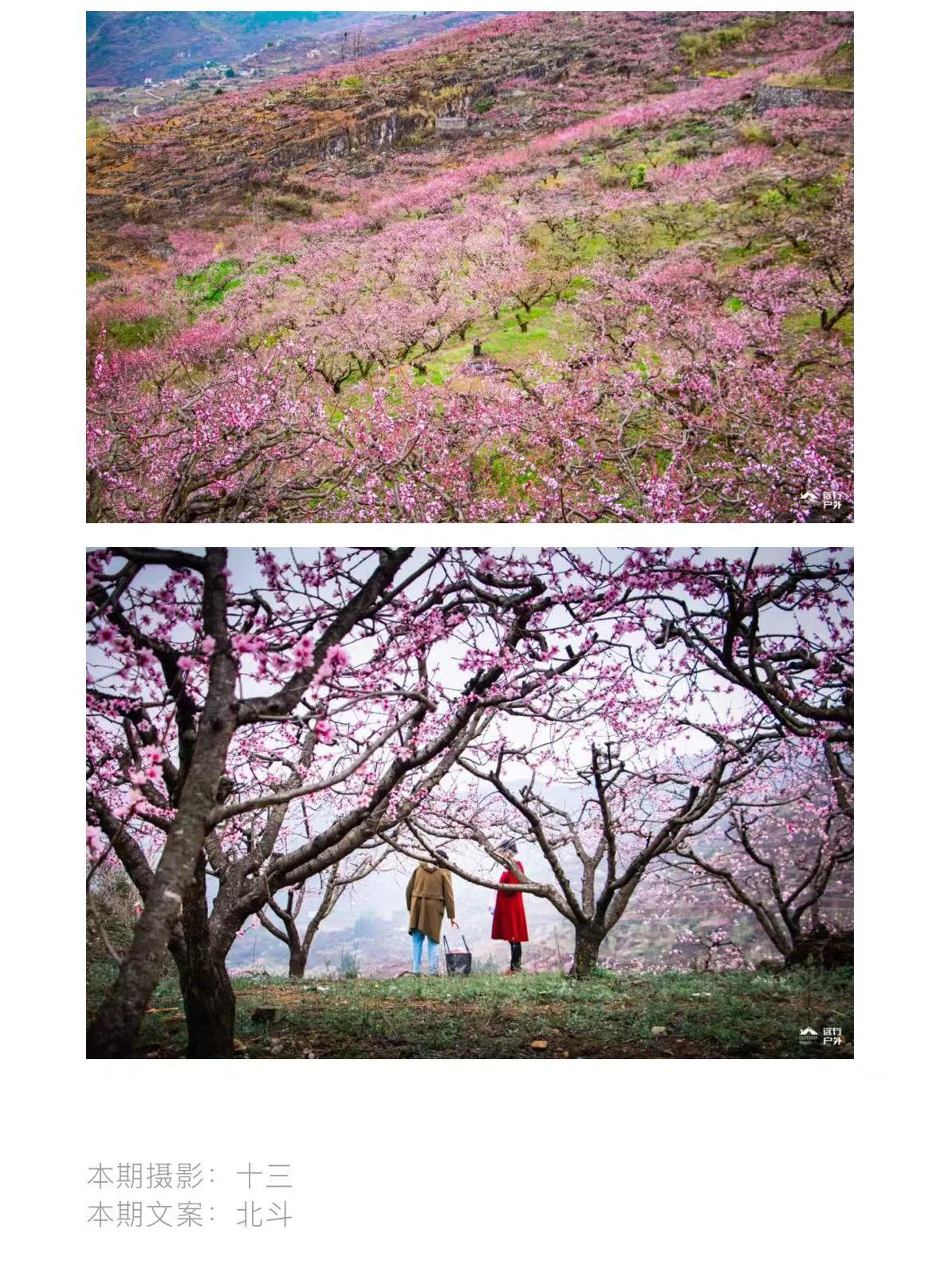 微信图片_2026-03-02_170222_470