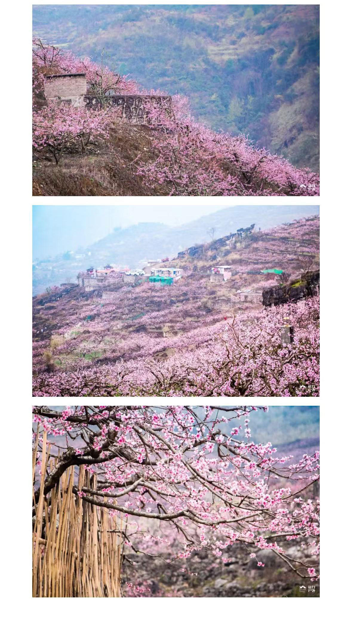 微信图片_2026-03-02_170047_183