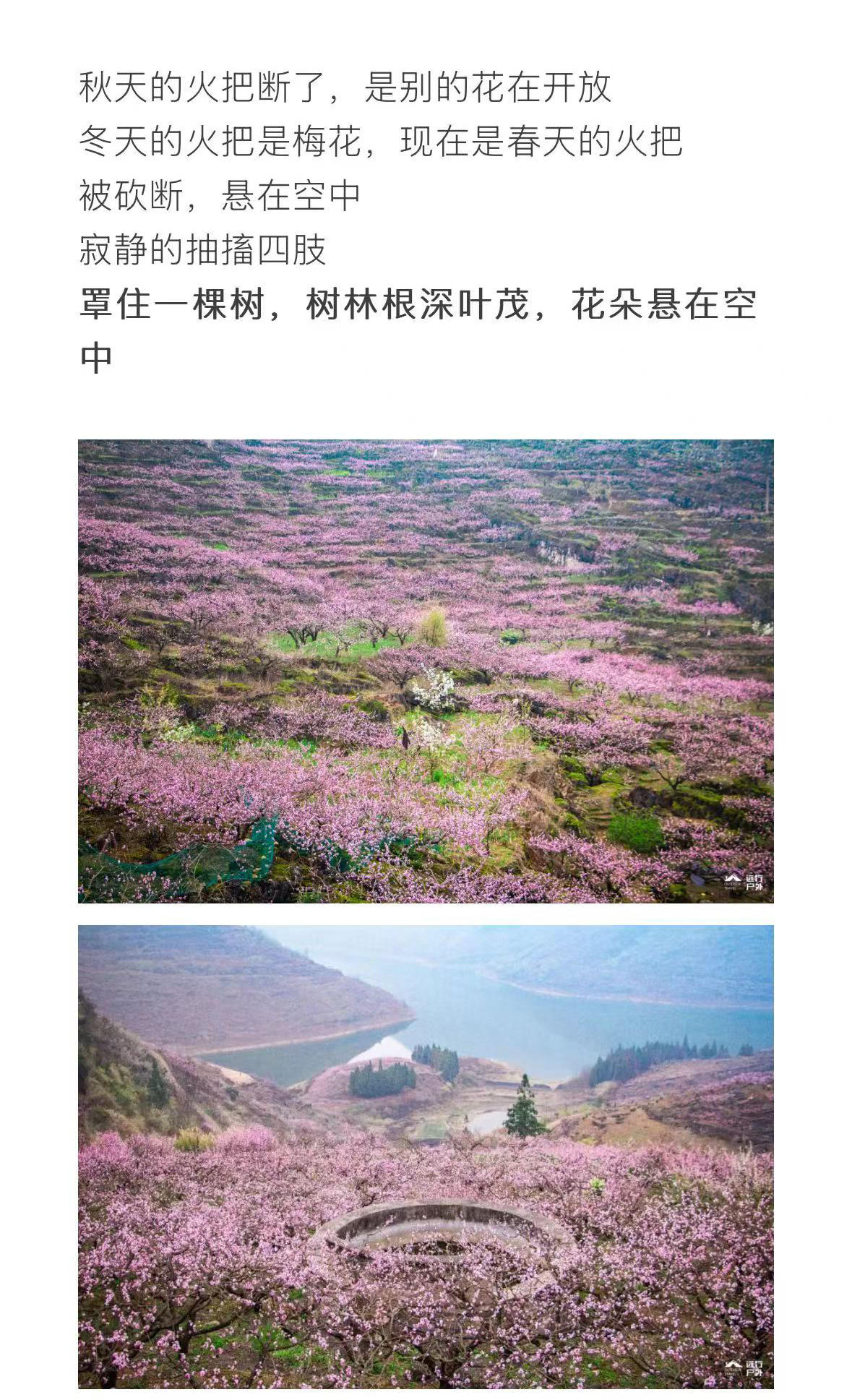 微信图片_2026-03-02_170032_352