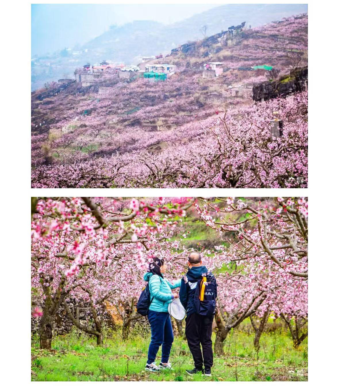 微信图片_2026-03-02_170218_936