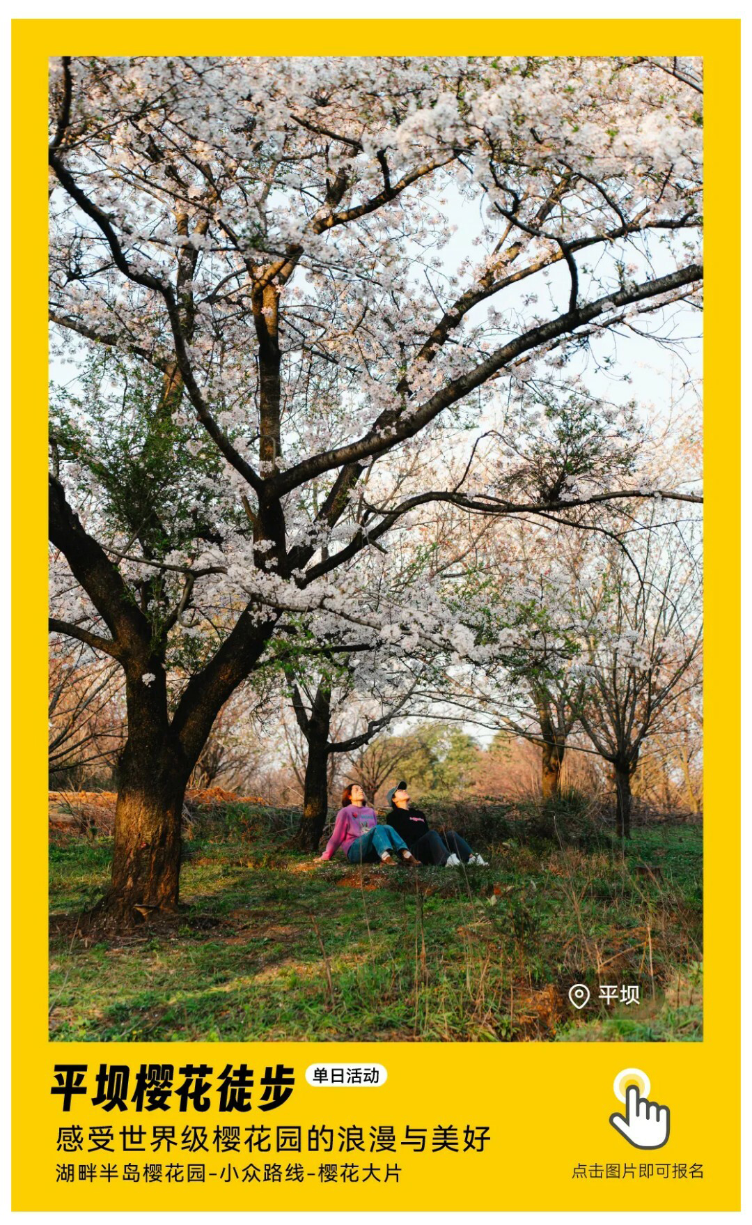 平坝樱花-秀米01_01