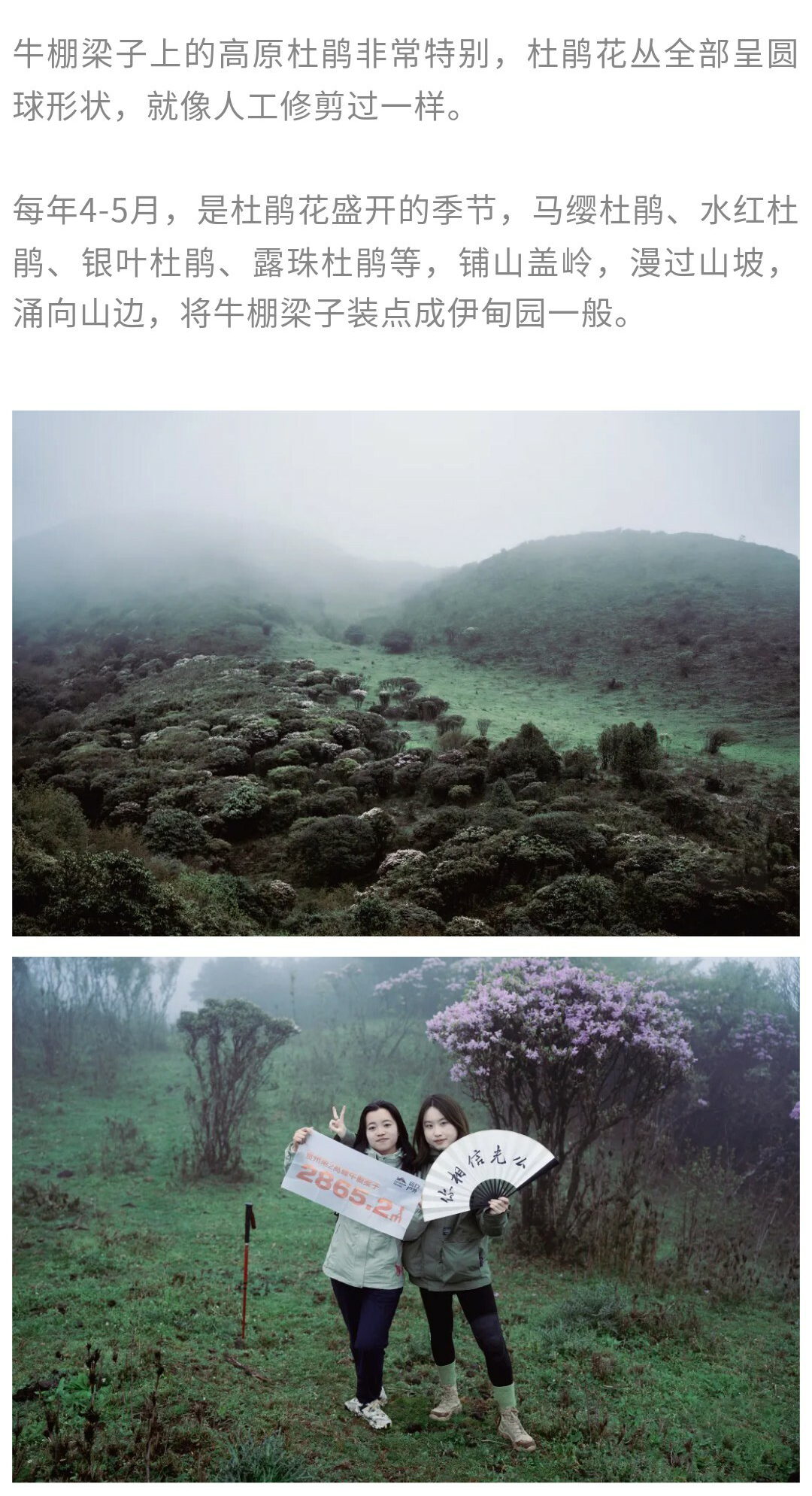 牛棚梁子-秀米01_14