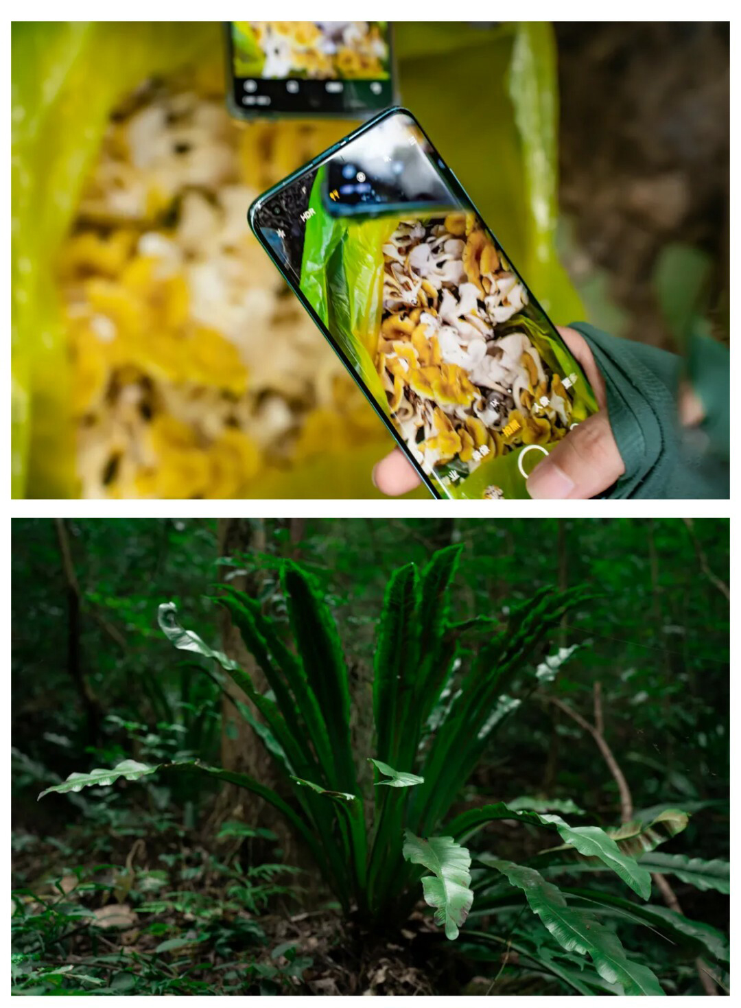 茂兰-贵阳出发版01_10