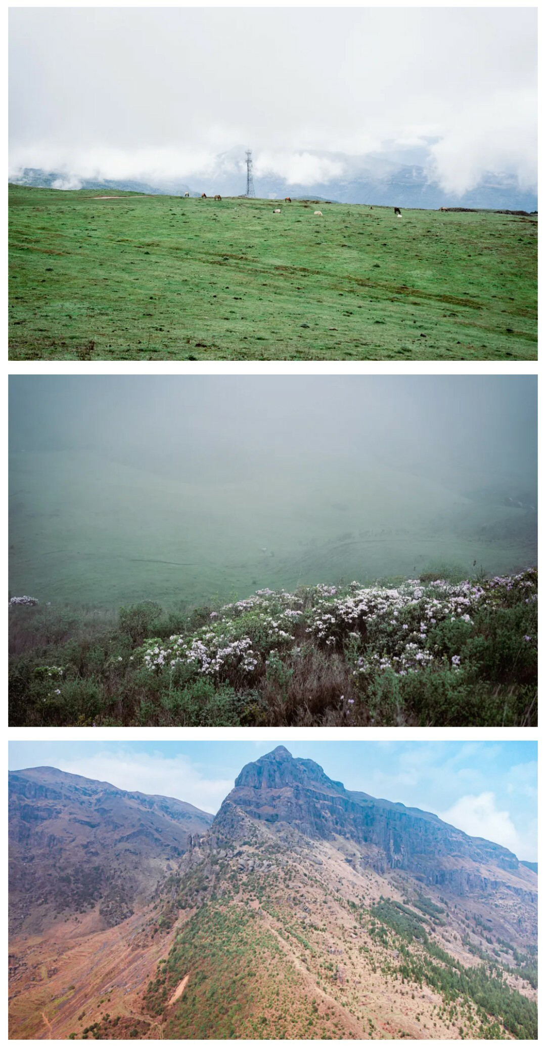 牛棚梁子-秀米01_13