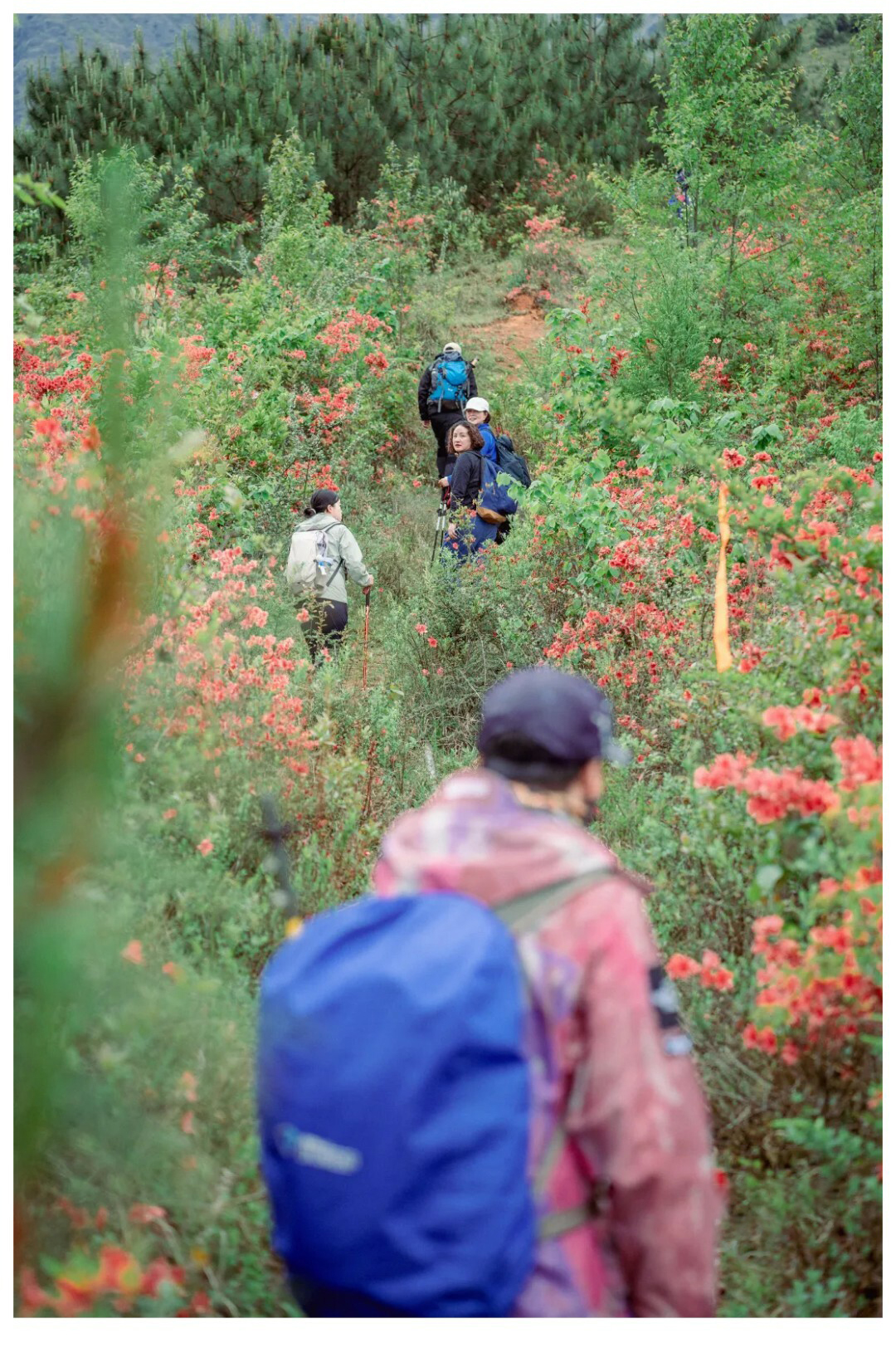 牛棚梁子-秀米01_05