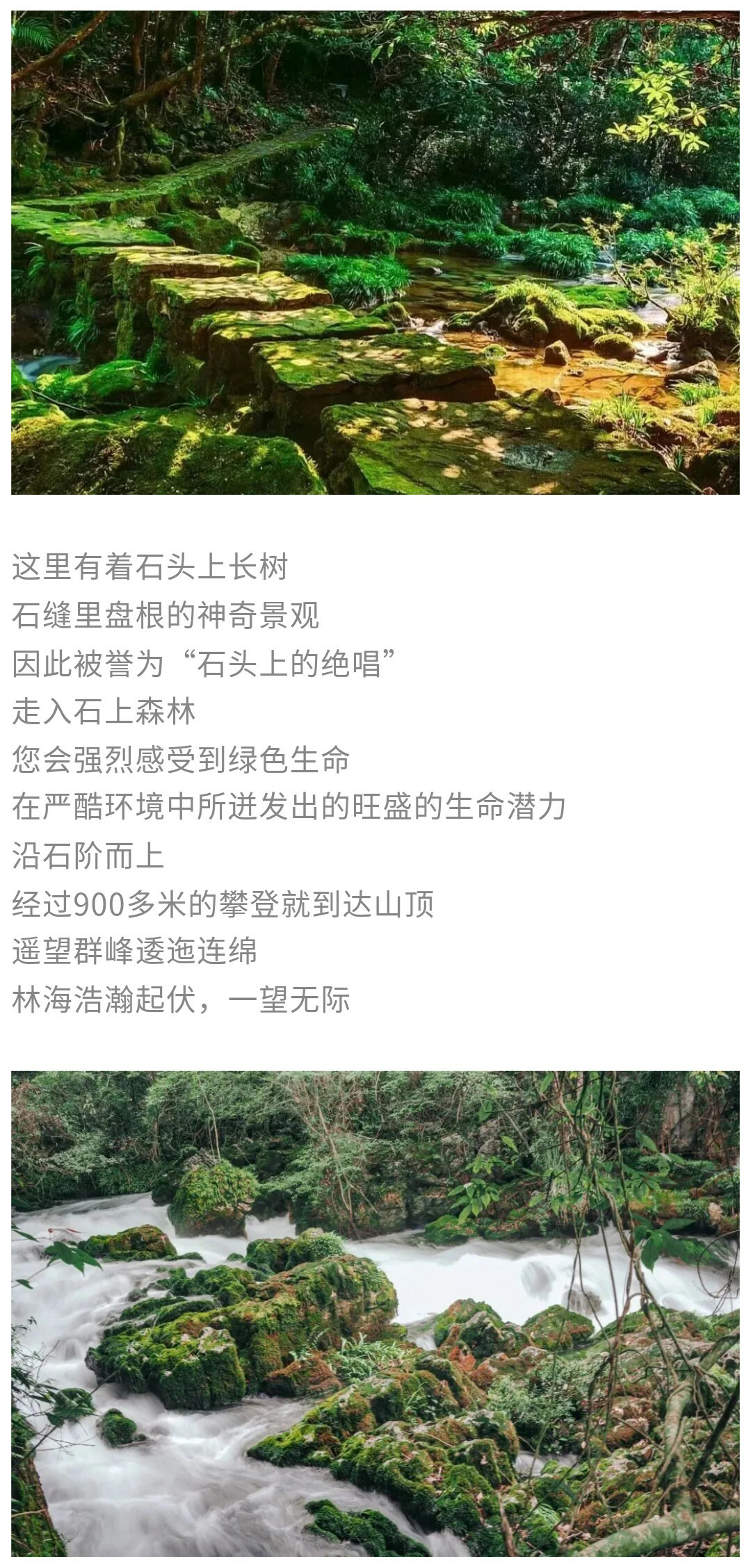 茂兰-贵阳出发版01_07