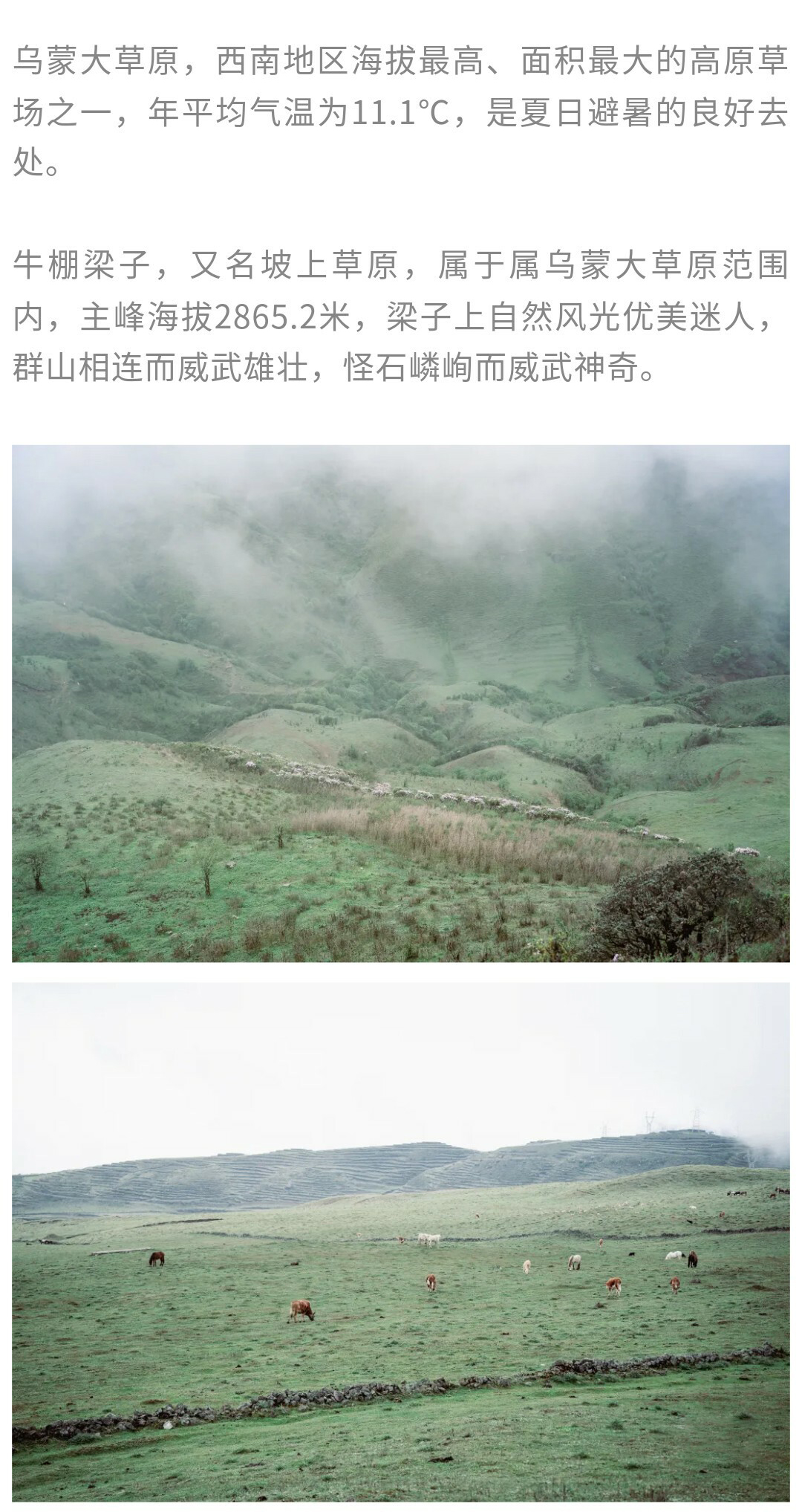 牛棚梁子-秀米01_12