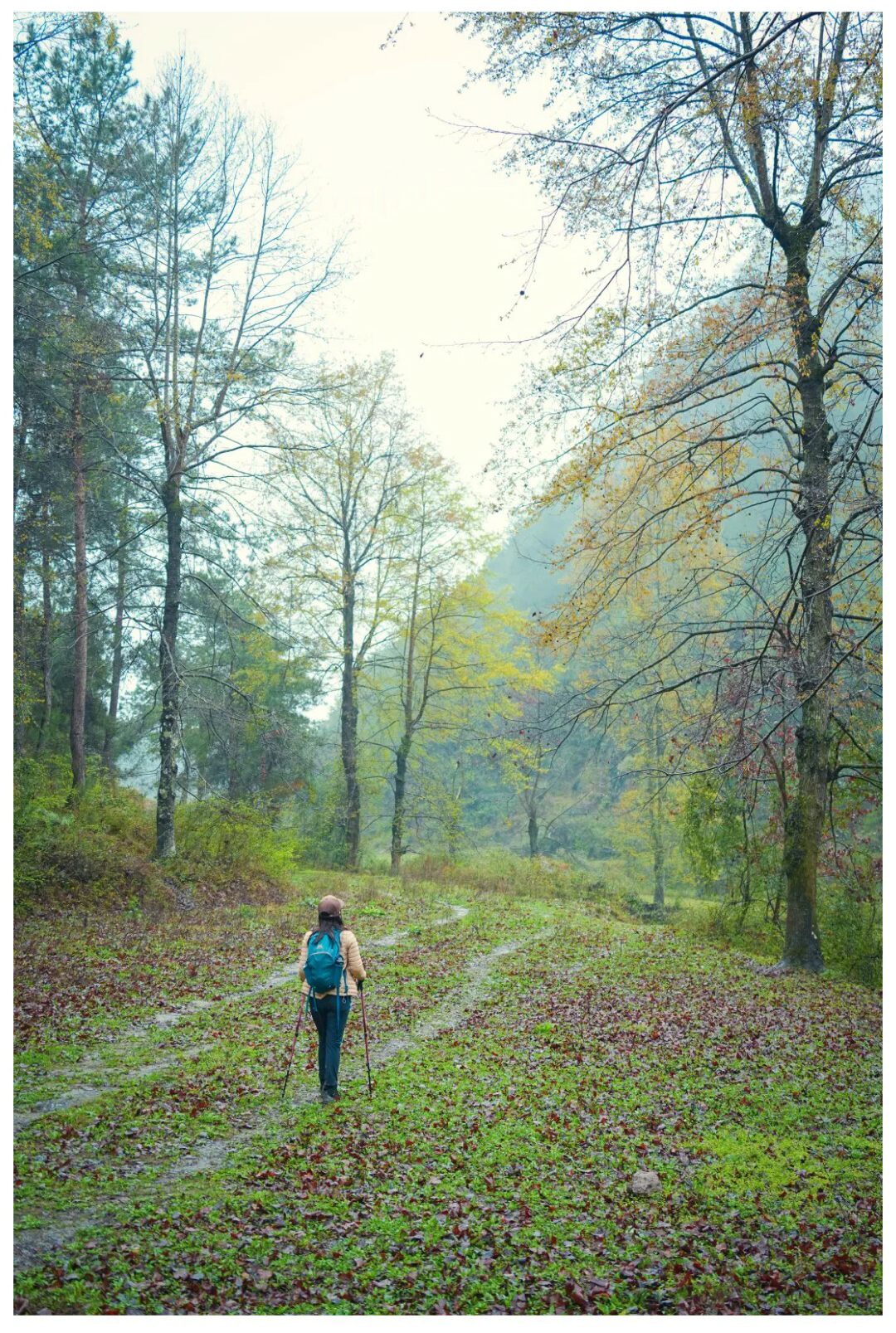 摆金（春天）秀米01_06