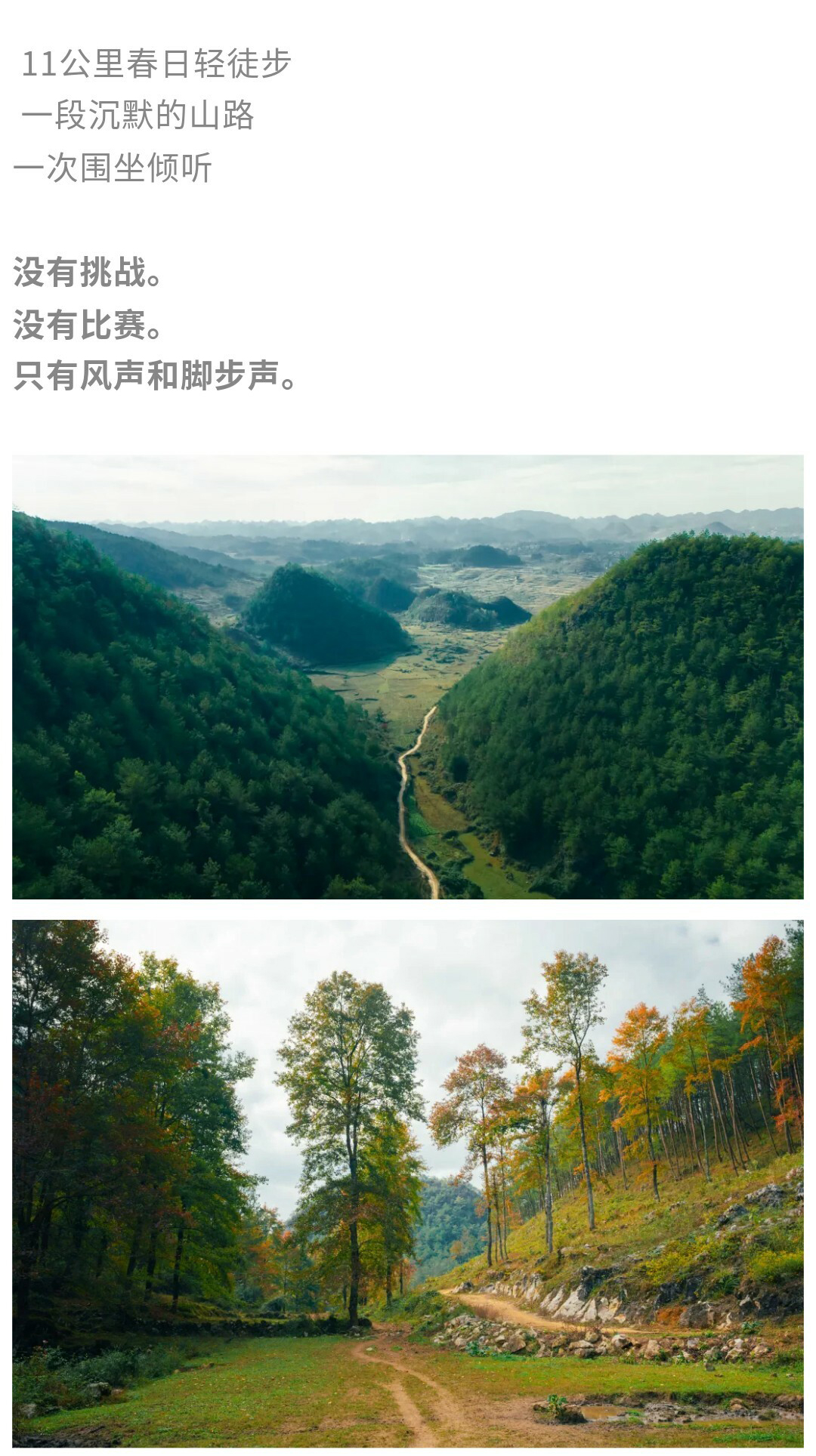 摆金（春天）秀米01_07