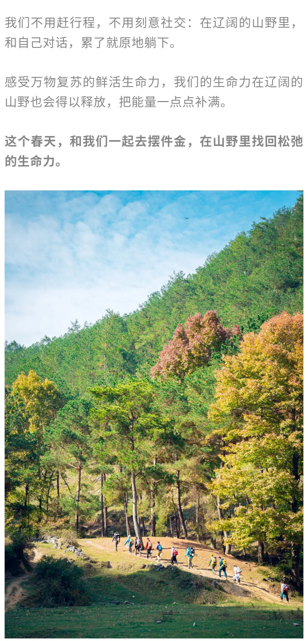 摆金（春天）秀米01_13