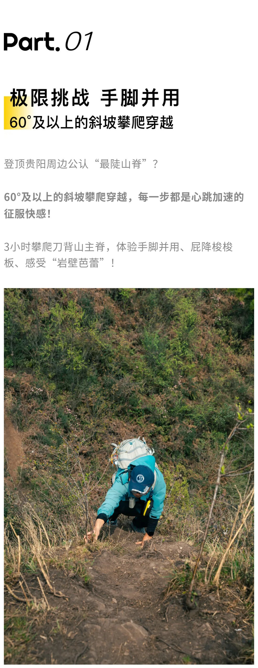 刀背山-秀米01_05