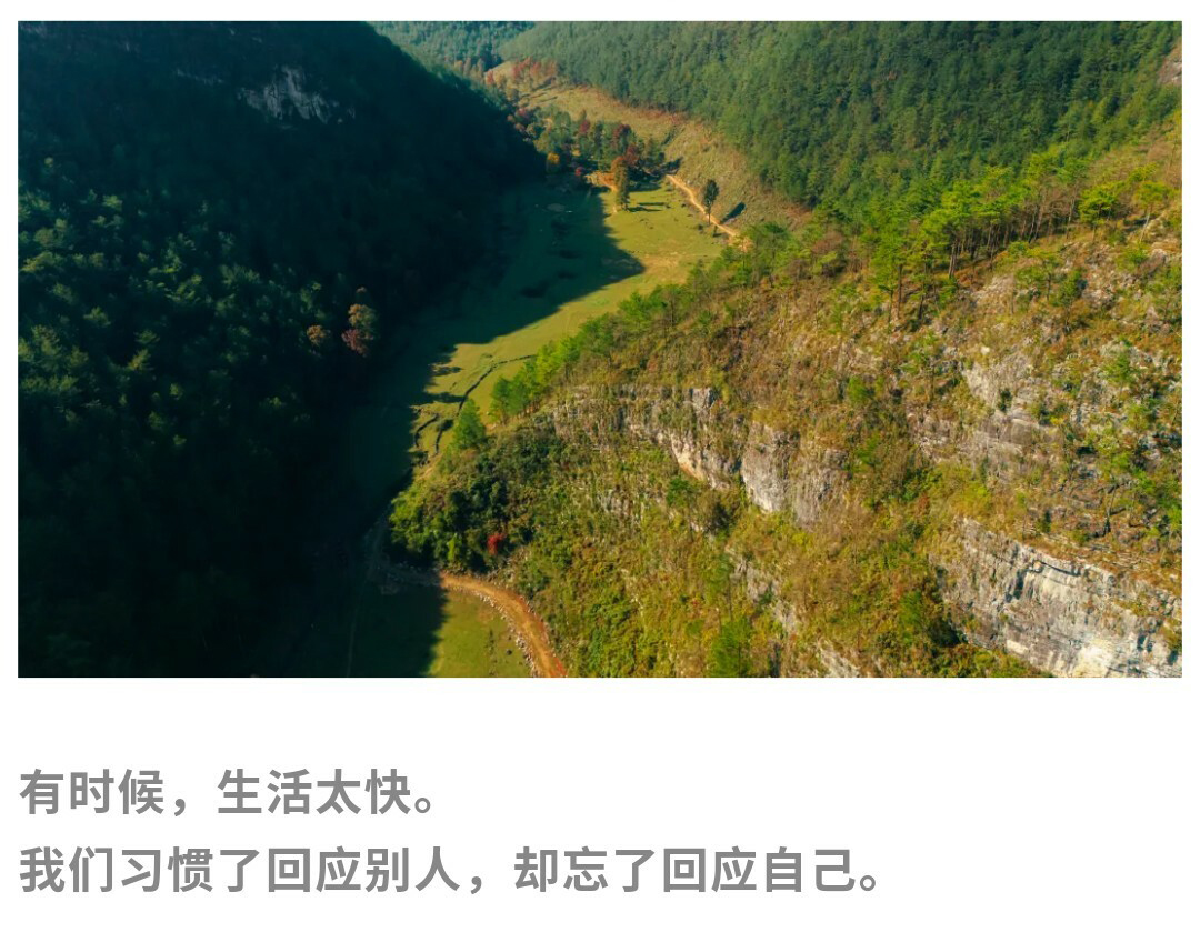 摆金（春天）秀米01_03